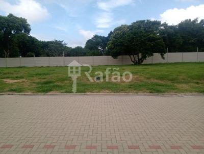 Terreno para Venda, em Osrio, bairro Palmital