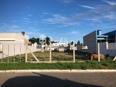 Terreno para Venda, em Osrio, bairro Bosques do Albatroz