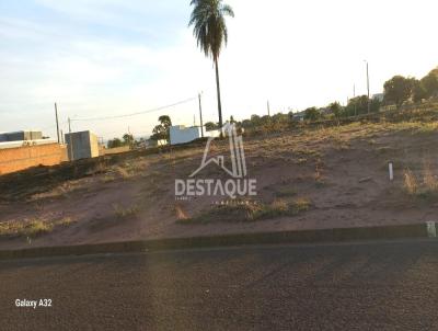 Terreno para Venda, em Presidente Epitcio, bairro Jardim Aeroporto