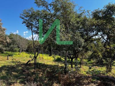 Lote para Venda, em Brumadinho, bairro Ficus