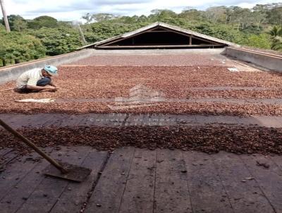 Fazenda para Venda, em Mascote, bairro 