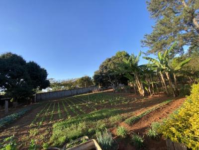 Chcara para Venda, em RA IV Brazlndia, bairro Brazlndia