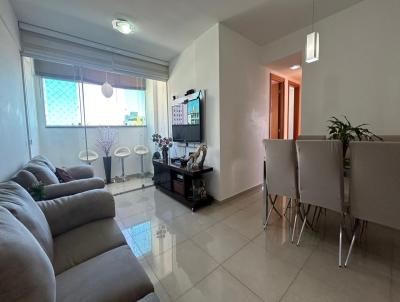 imagem-miniatura