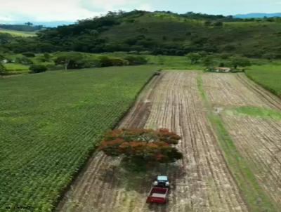 Fazenda para Venda, em Cruzeiro, bairro Centro