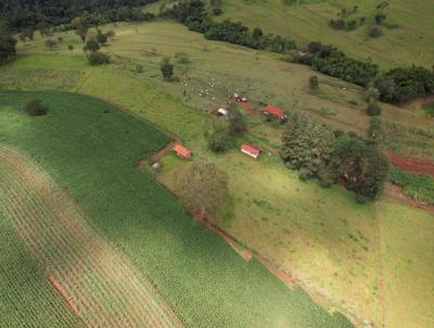 Stio para Venda, em Cajuru, bairro Zona Rural