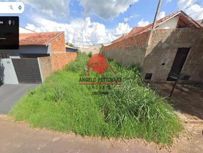 Terreno para Venda, em Teodoro Sampaio, bairro Jardim Nova Teodoro 1