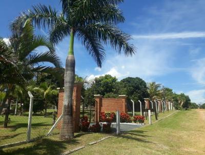 Chcara para Venda, em Cajuru, bairro , 4 dormitrios, 6 banheiros, 4 sutes, 10 vagas