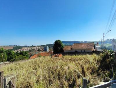 Terreno Comercial para Venda, em Siqueira Campos, bairro Centro