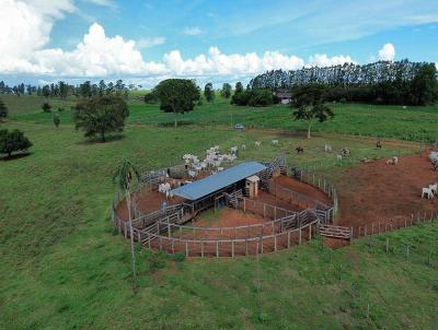 Fazenda para Venda, em Bataguassu, bairro Rural