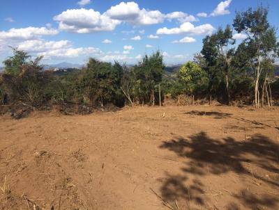 Lote para Venda, em So Jos da Lapa, bairro Inacia de Carvalho