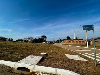 Loteamento para Venda, em Guaba, bairro Ermo