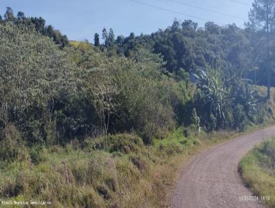 Chcara para Venda, em So Loureno do Oeste, bairro LINHA VILANI