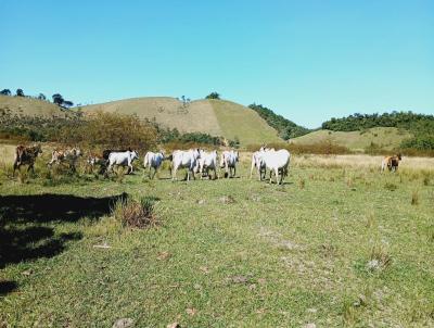 Fazenda para Venda, em Silva Jardim, bairro Imba, 3 dormitrios, 1 banheiro, 1 sute, 1 vaga