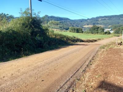 Terreno para Venda, em Santa Maria do Herval, bairro Vila Nova