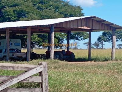 Fazenda para Venda, em Gacha do Norte, bairro Zona rural