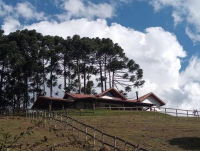 Stio para Venda, em Sapuca-Mirim, bairro Centro