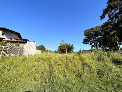 Terreno para Venda, em Campo Bom, bairro 25 julho