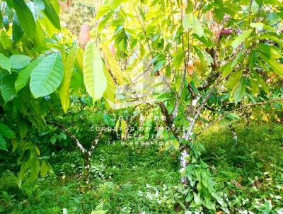 Fazenda para Venda, em Ilhus, bairro Japu