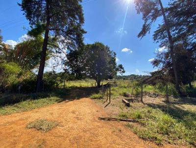 Chcara para Venda, em RA IV Brazlndia, bairro Brazlndia