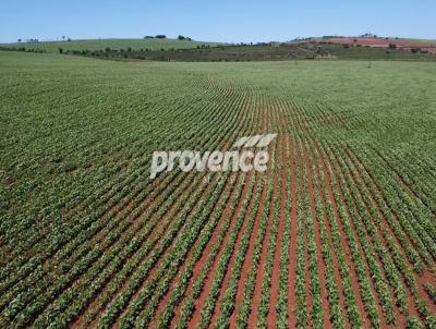 Fazenda para Venda, em Ita, bairro Centro