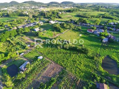 Chcara para Venda, em Nova Hartz, bairro Campo Vicente-Nova Hartz