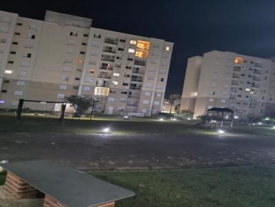 imagem-miniatura
