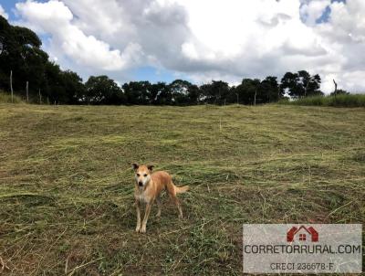 Terreno para Venda, em Piedade, bairro Limal