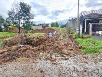 Terreno para Venda, em Trs Coroas, bairro Mundo Novo III