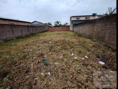 Terreno para Venda, em Guaratuba, bairro Mirim