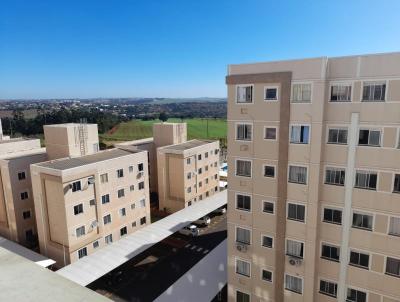 Apartamento para Venda, em Londrina, bairro Gleba Ribeiro Limeiro, 2 dormitrios, 1 banheiro, 1 vaga