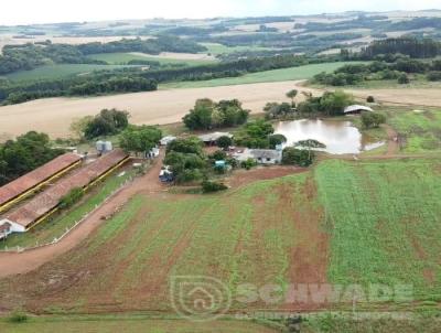 rea Rural para Venda, em Trs Passos, bairro interior