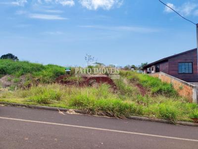 Terreno para Venda, em Pato Branco, bairro Aeroporto