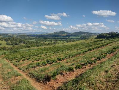 Fazenda para Venda, em Conceio do Rio Verde, bairro Centro, 4 dormitrios, 3 banheiros, 2 sutes, 5 vagas