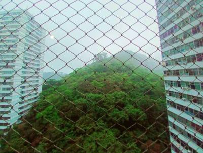 imagem-miniatura