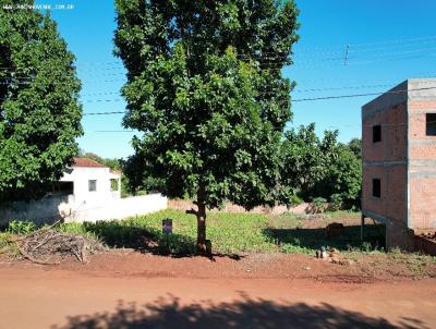 Terreno para Venda, em Barbosa Ferraz, bairro Vila Nova