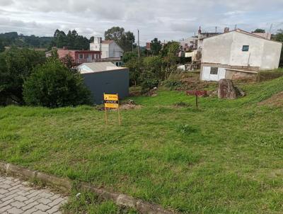 Terreno Urbano para Venda, em Canguu, bairro Vila Nova