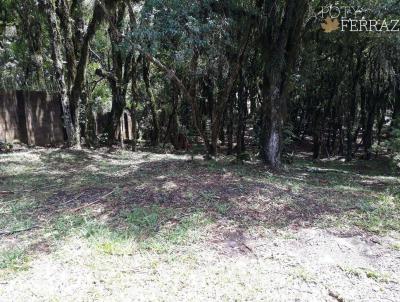 Terreno para Venda, em Gramado, bairro Centro