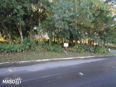 Terreno para Venda, em Gramado, bairro Avenida Central