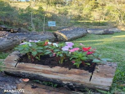 Terreno para Venda, em Gramado, bairro Linha vila Alta