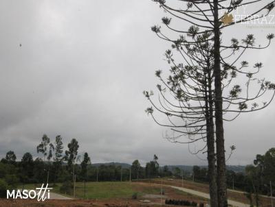 Terreno para Venda, em Gramado, bairro Linha vila Alta