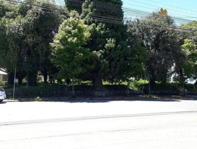 Terreno para Venda, em Canela, bairro Centro