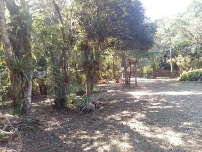 Terreno para Venda, em Antonina, bairro SAIVA