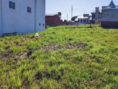 Terreno Residencial para Venda, em Iara, bairro poo 3