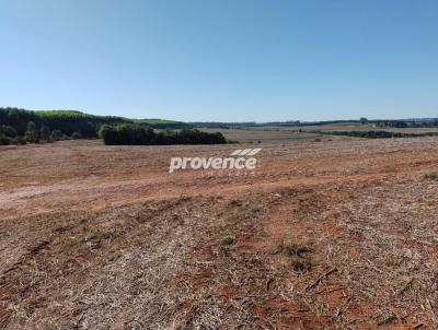 Fazenda para Venda, em Pardinho, bairro Centro