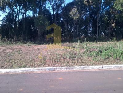 Terreno para Venda, em Carambe, bairro Jardim das Naes