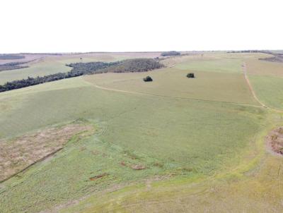 Fazenda para Venda, em , bairro TAGUATINGA CENTRO, 5 dormitrios, 2 banheiros, 1 sute