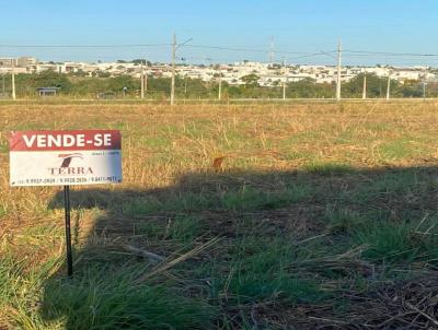 Lote para Venda, em Poxoro, bairro Bairro Belvedere