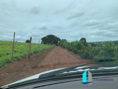 Casa para Venda, em Batatais, bairro Zona Rural, 3 dormitrios, 3 banheiros, 6 vagas