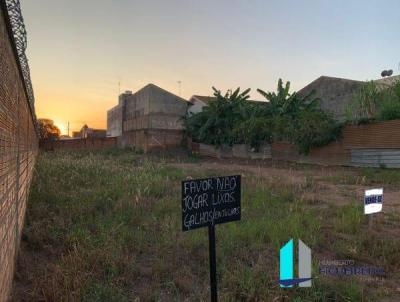 Terreno para Venda, em Mato, bairro Alto, 1 banheiro