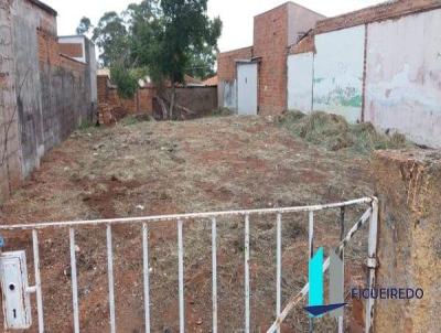 Terreno para Venda, em Araraquara, bairro Vila Santa Maria (Vila Xavier)